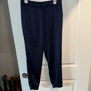 Women’s banana republic Navy Jogger Pants